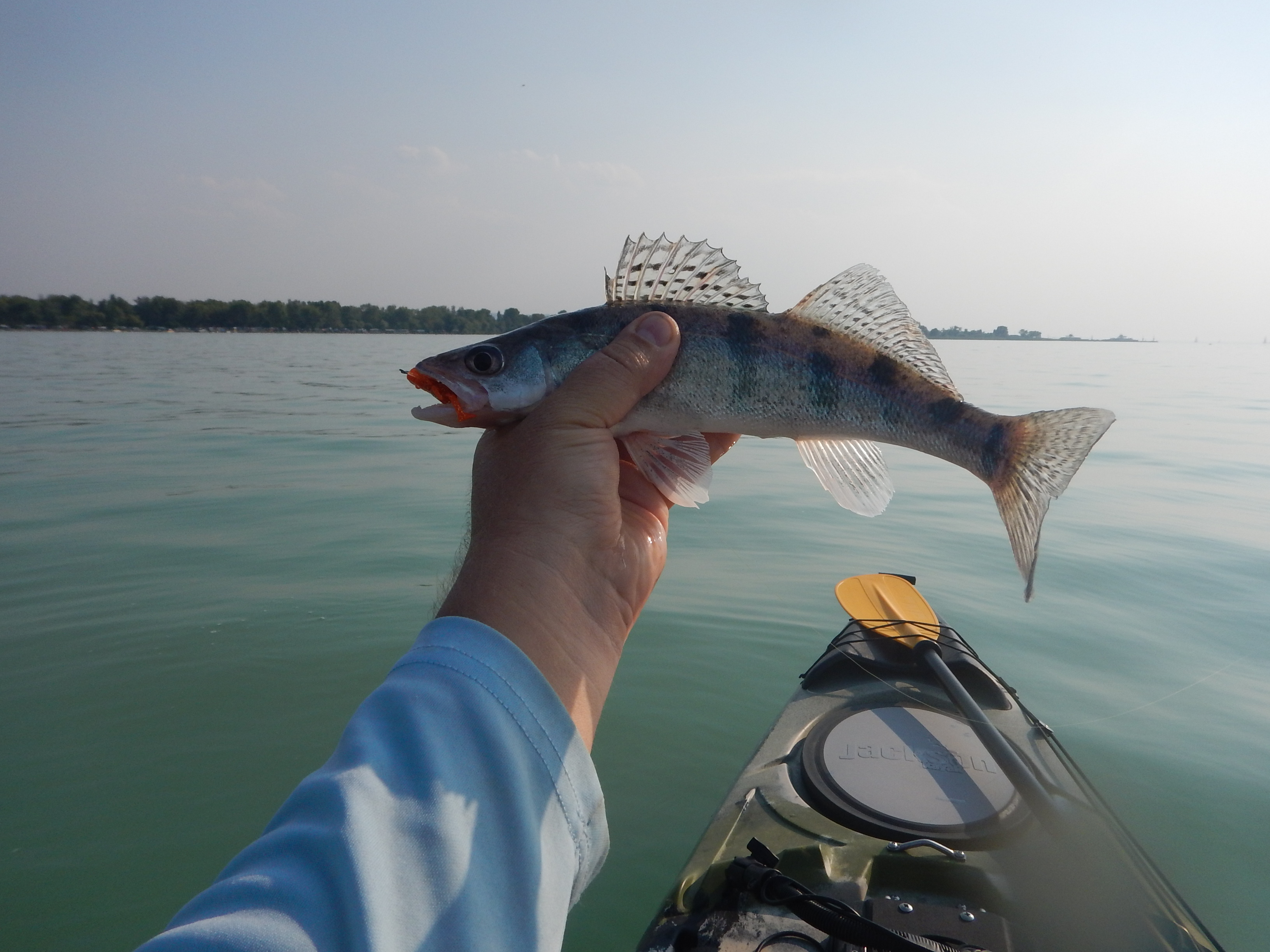 Kajakos kősüllő Balatonból